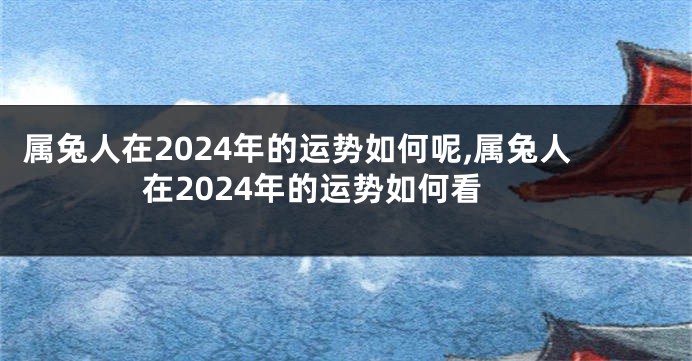 属兔人在2024年的运势如何呢,属兔人在2024年的运势如何看