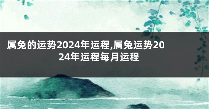 属兔的运势2024年运程,属兔运势2024年运程每月运程