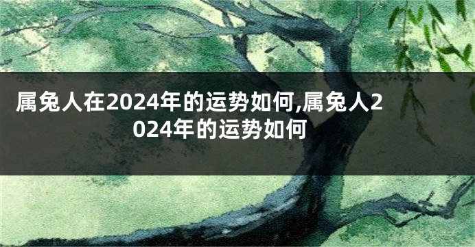 属兔人在2024年的运势如何,属兔人2024年的运势如何