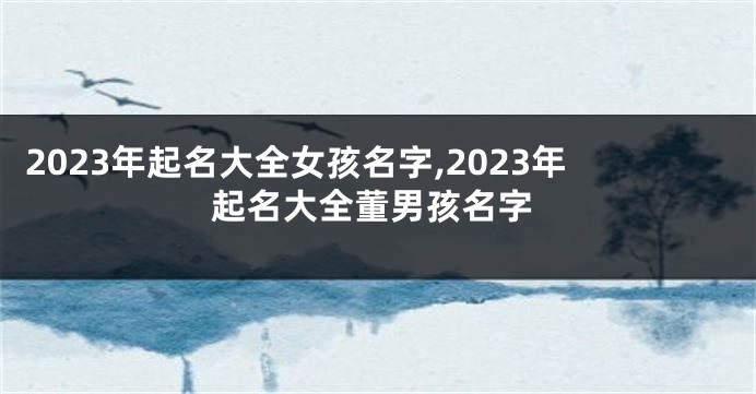 2023年起名大全女孩名字,2023年起名大全董男孩名字