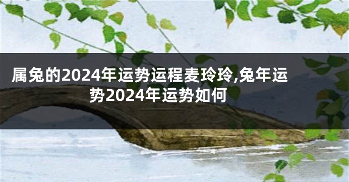 属兔的2024年运势运程麦玲玲,兔年运势2024年运势如何