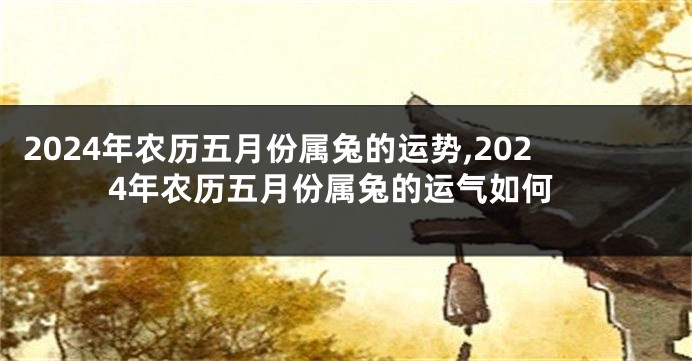 2024年农历五月份属兔的运势,2024年农历五月份属兔的运气如何