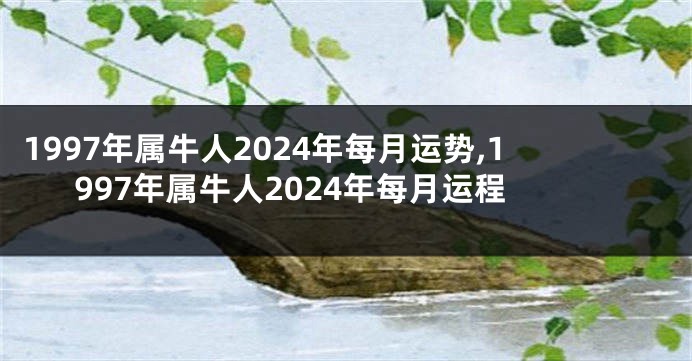 1997年属牛人2024年每月运势,1997年属牛人2024年每月运程