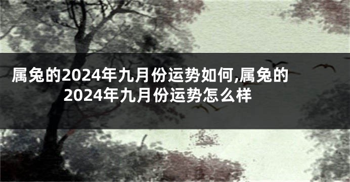 属兔的2024年九月份运势如何,属兔的2024年九月份运势怎么样