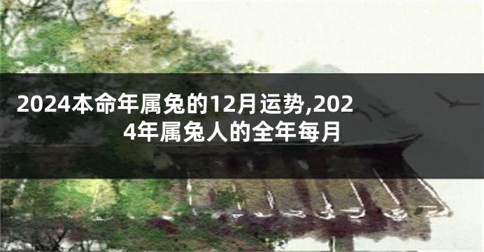 2024本命年属兔的12月运势,2024年属兔人的全年每月