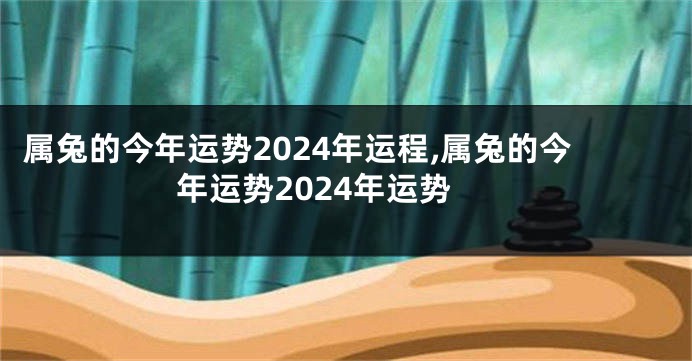 属兔的今年运势2024年运程,属兔的今年运势2024年运势