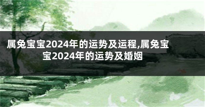 属兔宝宝2024年的运势及运程,属兔宝宝2024年的运势及婚姻