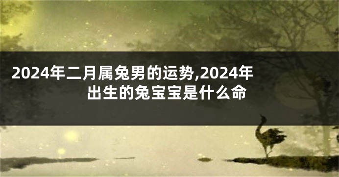 2024年二月属兔男的运势,2024年出生的兔宝宝是什么命