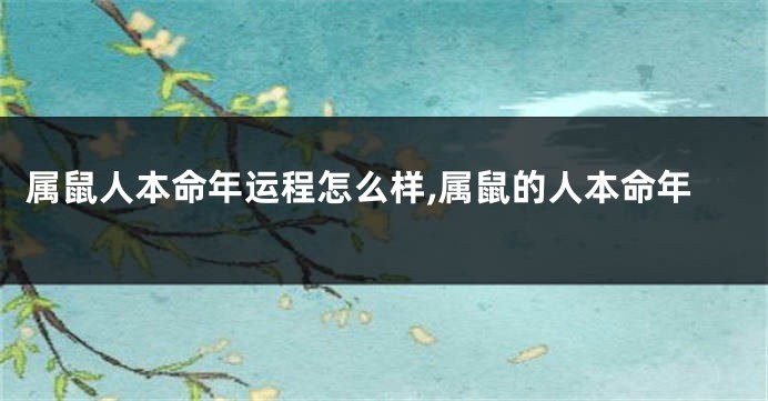 属鼠人本命年运程怎么样,属鼠的人本命年