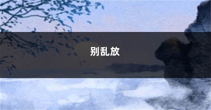 别乱放