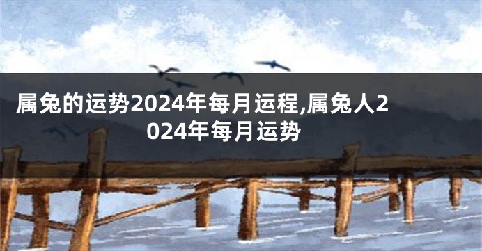 属兔的运势2024年每月运程,属兔人2024年每月运势