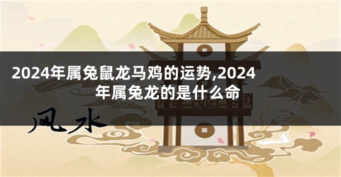 2024年属兔鼠龙马鸡的运势,2024年属兔龙的是什么命