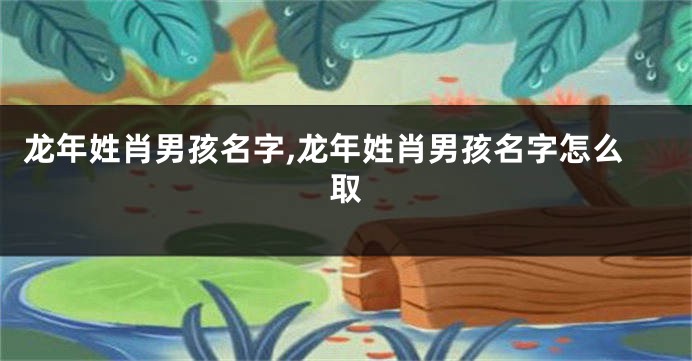 龙年姓肖男孩名字,龙年姓肖男孩名字怎么取