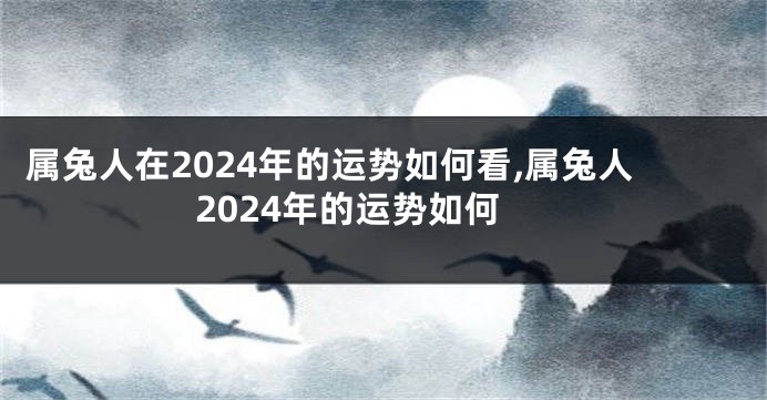 属兔人在2024年的运势如何看,属兔人2024年的运势如何