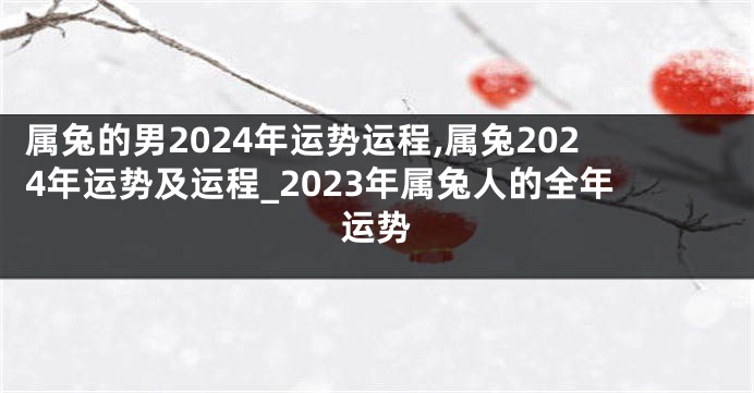属兔的男2024年运势运程,属兔2024年运势及运程_2023年属兔人的全年运势