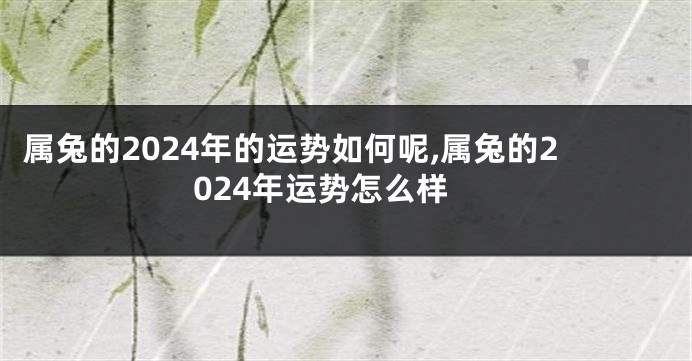 属兔的2024年的运势如何呢,属兔的2024年运势怎么样