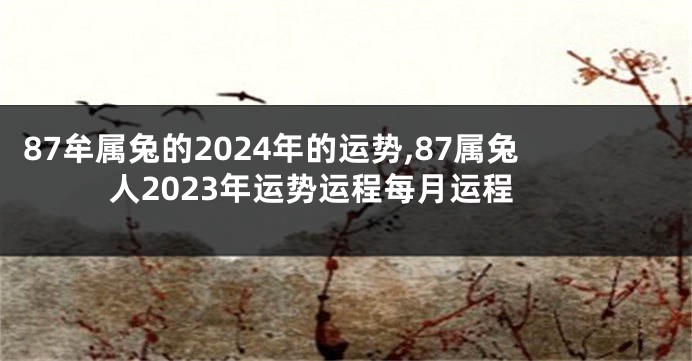87牟属兔的2024年的运势,87属兔人2023年运势运程每月运程