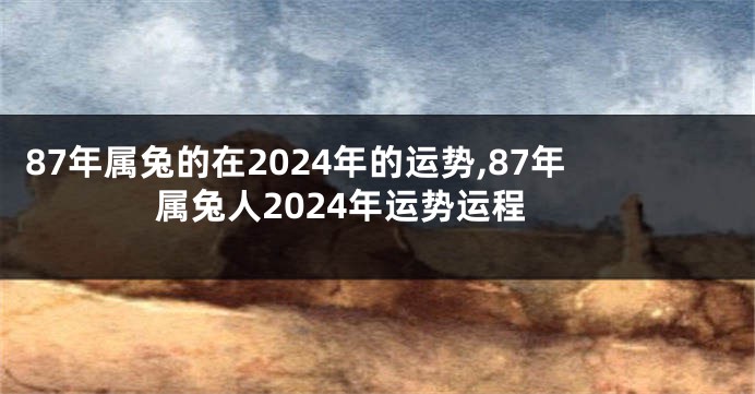 87年属兔的在2024年的运势,87年属兔人2024年运势运程