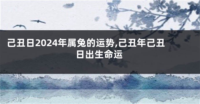 己丑日2024年属兔的运势,己丑年己丑日出生命运