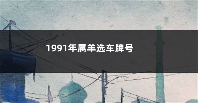 1991年属羊选车牌号