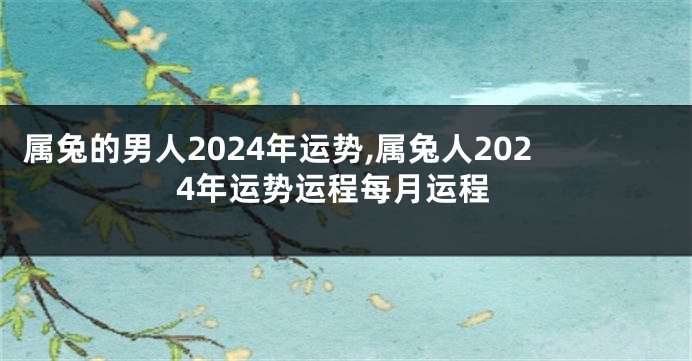 属兔的男人2024年运势,属兔人2024年运势运程每月运程