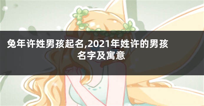兔年许姓男孩起名,2021年姓许的男孩名字及寓意