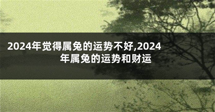 2024年觉得属兔的运势不好,2024年属兔的运势和财运