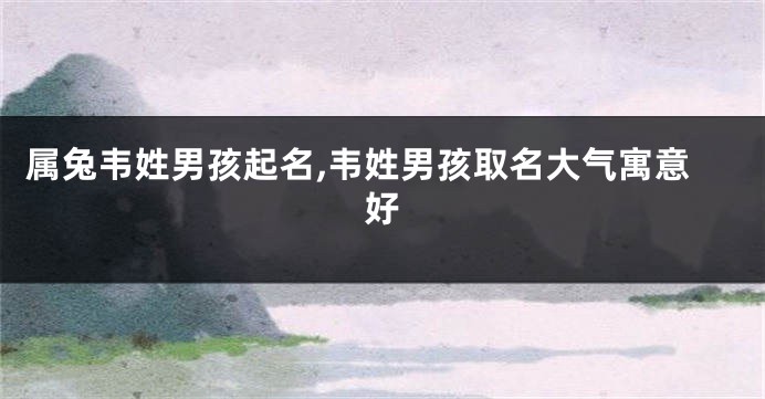属兔韦姓男孩起名,韦姓男孩取名大气寓意好