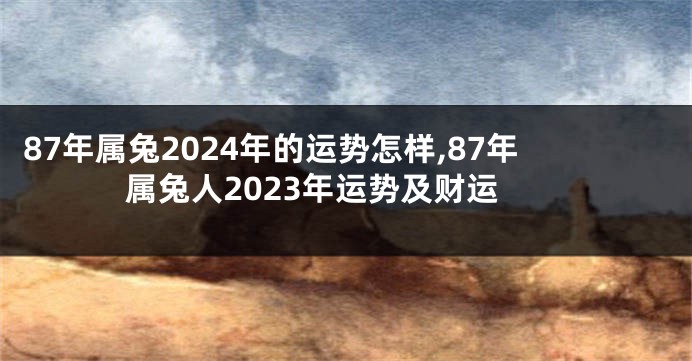 87年属兔2024年的运势怎样,87年属兔人2023年运势及财运