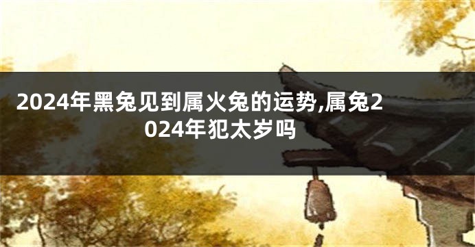 2024年黑兔见到属火兔的运势,属兔2024年犯太岁吗