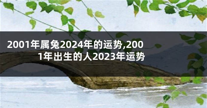 2001年属兔2024年的运势,2001年出生的人2023年运势