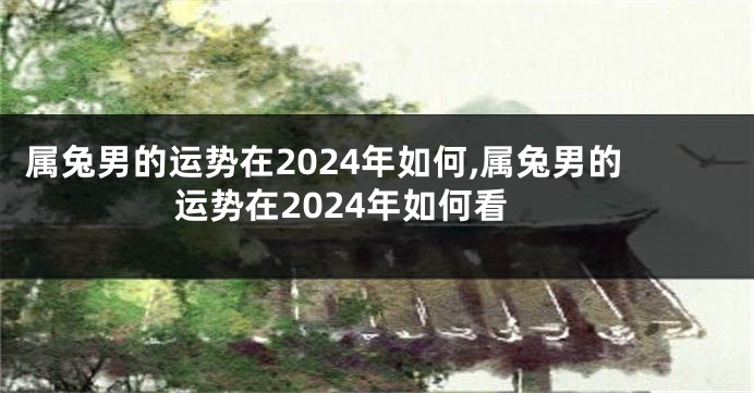 属兔男的运势在2024年如何,属兔男的运势在2024年如何看