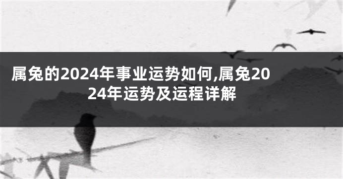 属兔的2024年事业运势如何,属兔2024年运势及运程详解