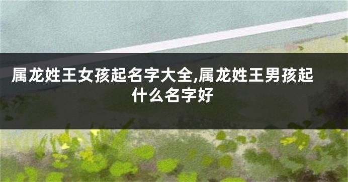属龙姓王女孩起名字大全,属龙姓王男孩起什么名字好