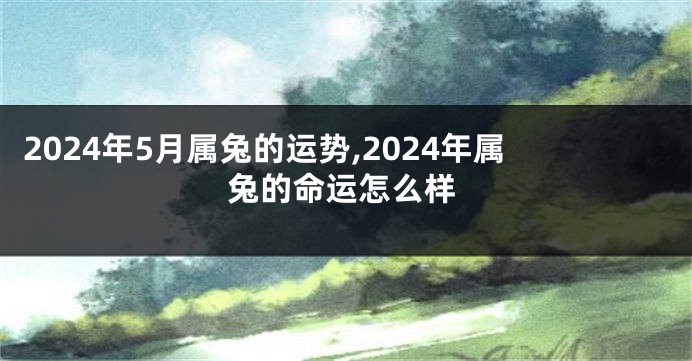 2024年5月属兔的运势,2024年属兔的命运怎么样