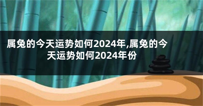 属兔的今天运势如何2024年,属兔的今天运势如何2024年份