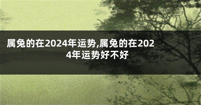 属兔的在2024年运势,属兔的在2024年运势好不好