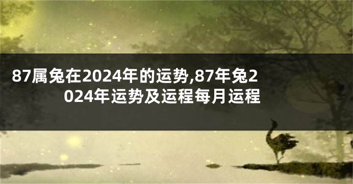 87属兔在2024年的运势,87年兔2024年运势及运程每月运程