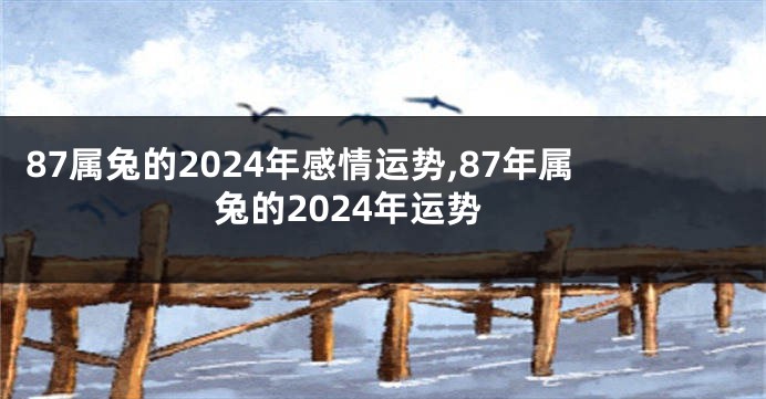 87属兔的2024年感情运势,87年属兔的2024年运势
