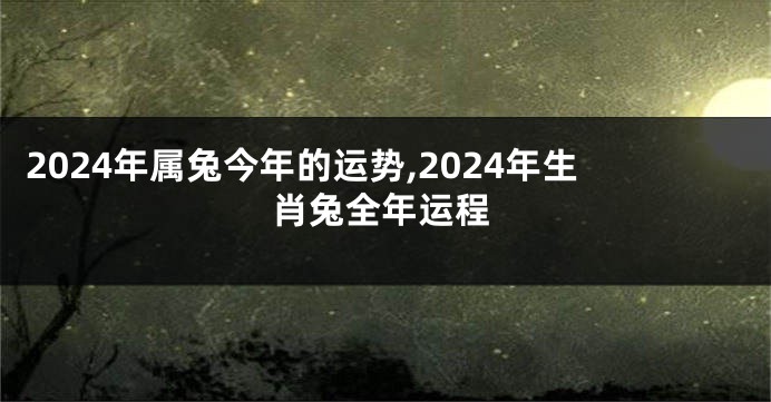 2024年属兔今年的运势,2024年生肖兔全年运程