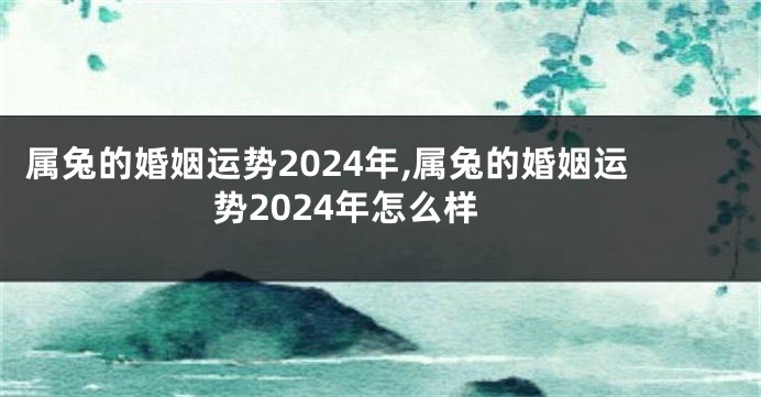 属兔的婚姻运势2024年,属兔的婚姻运势2024年怎么样