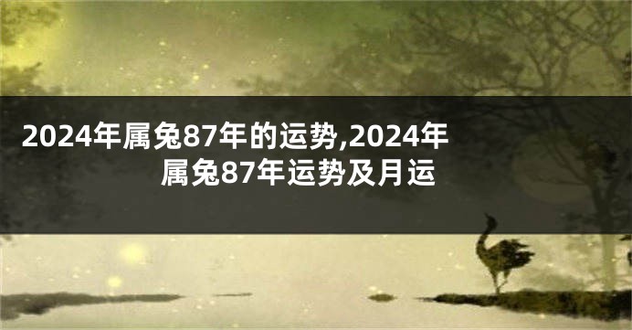 2024年属兔87年的运势,2024年属兔87年运势及月运