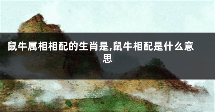 鼠牛属相相配的生肖是,鼠牛相配是什么意思