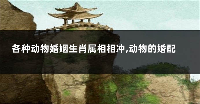 各种动物婚姻生肖属相相冲,动物的婚配