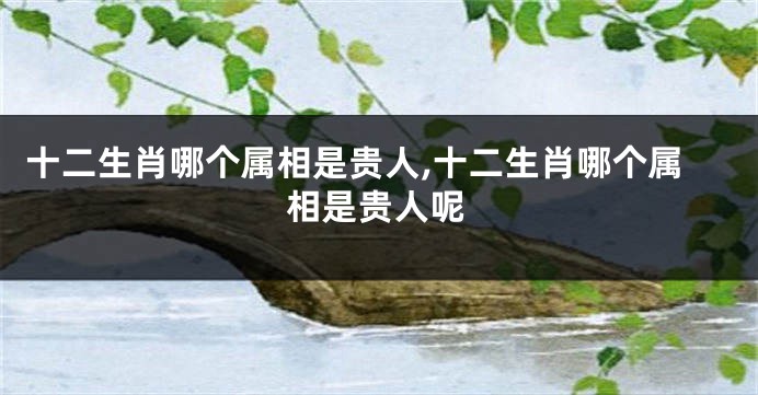十二生肖哪个属相是贵人,十二生肖哪个属相是贵人呢