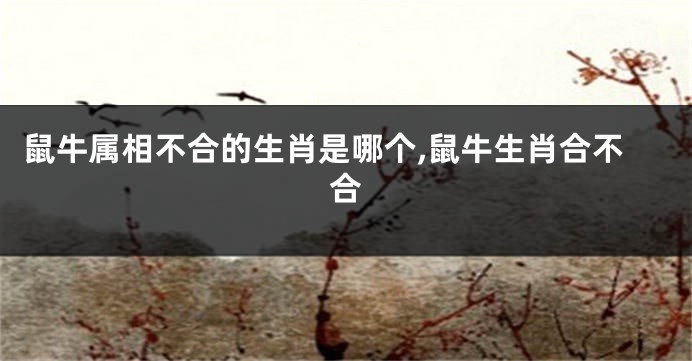 鼠牛属相不合的生肖是哪个,鼠牛生肖合不合