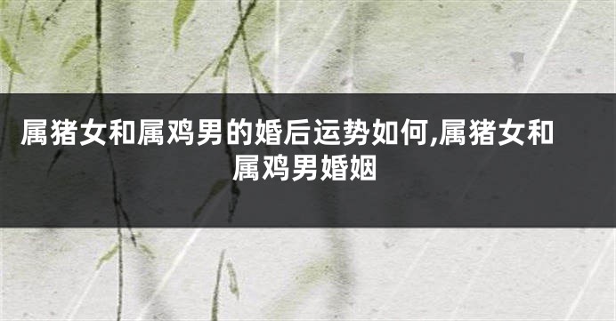 属猪女和属鸡男的婚后运势如何,属猪女和属鸡男婚姻