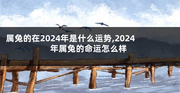 属兔的在2024年是什么运势,2024年属兔的命运怎么样