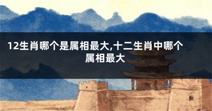 12生肖哪个是属相最大,十二生肖中哪个属相最大