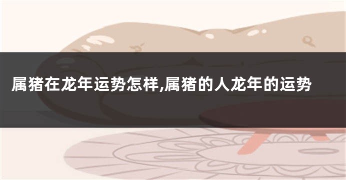 属猪在龙年运势怎样,属猪的人龙年的运势